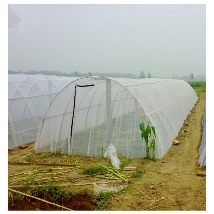 insect net (49)