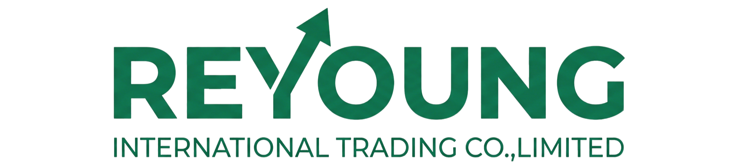 reyoung international logo tr 副本(1)(1)
